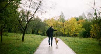 Can You Walk After a Bunion Surgery?